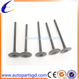 ENGINE INLET AND EXHAUST VALVE SET  fit BMW